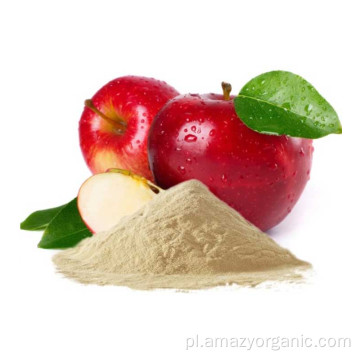 Brak dodatków Organiczny sok z owoców jabłek w proszku